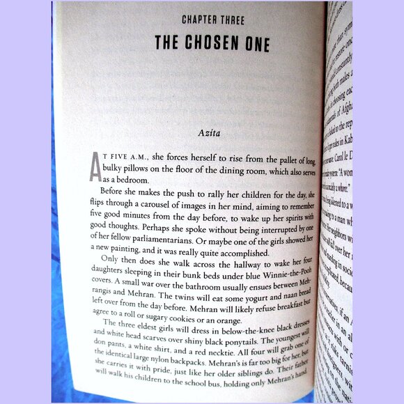 Book: Underground Girls of Kabul: In Search of Hidden Resistance in Afghanistan - Picture 10 of 15